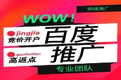 百度竞价SEM深度解析：某行业成功推广经验